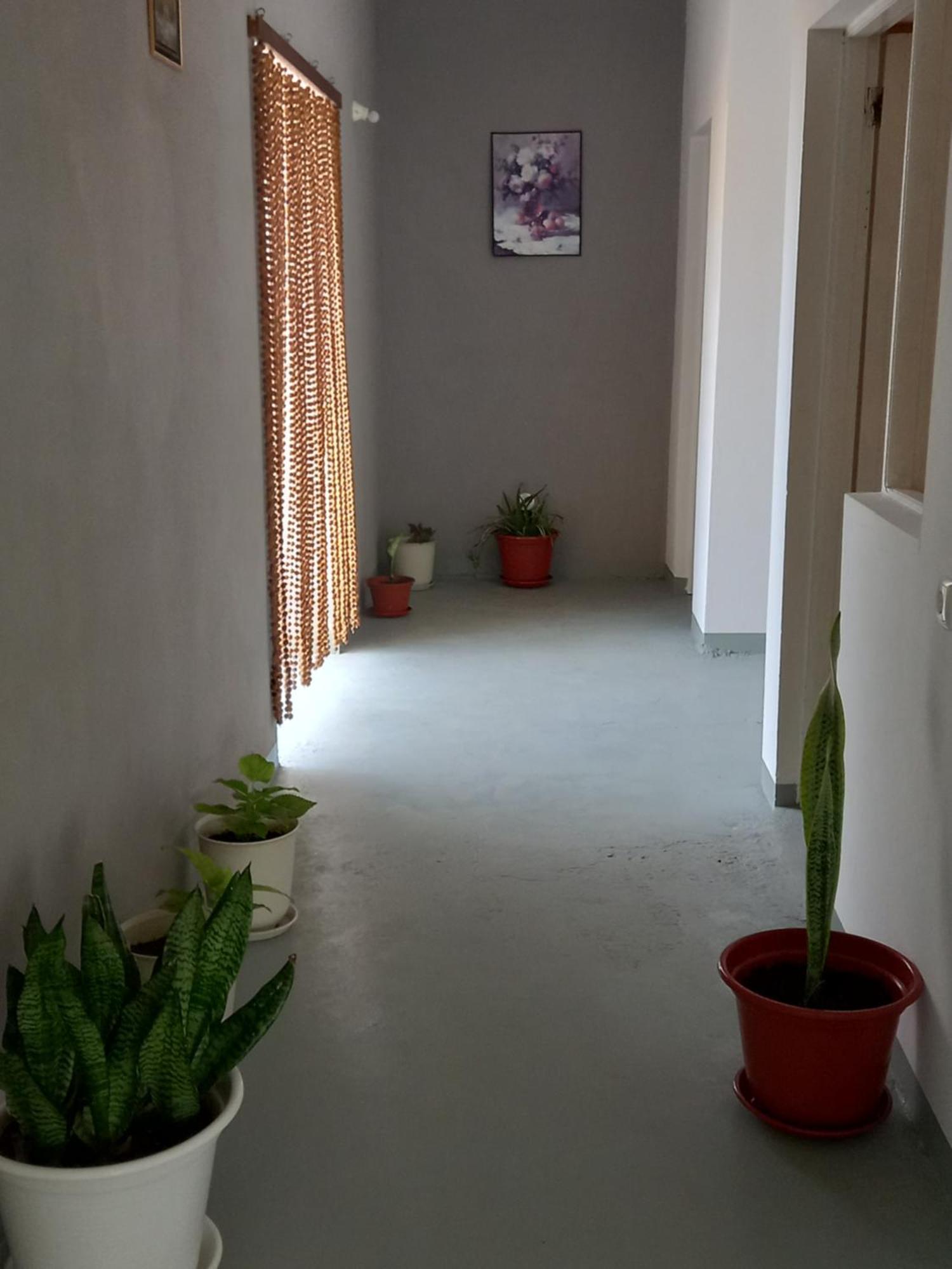 לינה וארוחת בוקר סאל ריי Residencial Rosa Criola מראה חיצוני תמונה